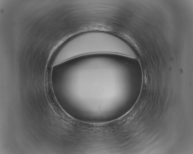 X0000070230388200605261107
