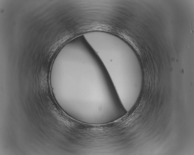 X0000070230394200605261107