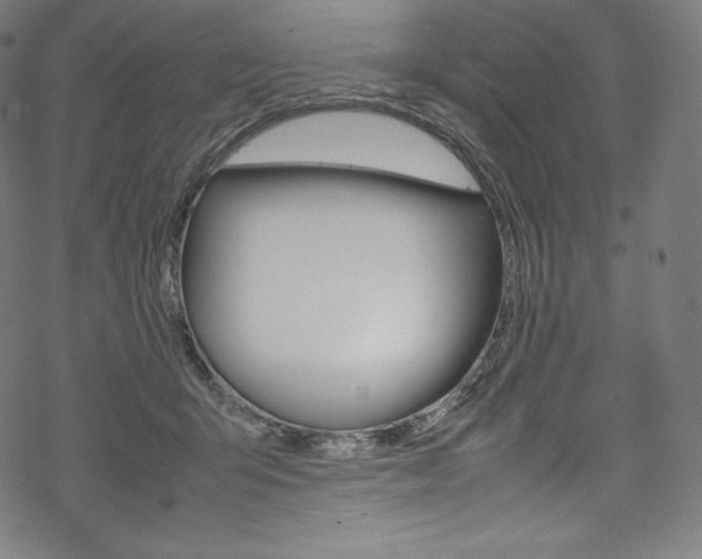 X0000070230415200605261106