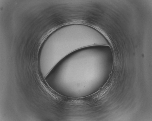 X0000070230437200605261105