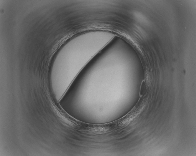 X0000070230445200605261106