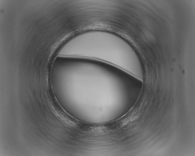 X0000070230446200605261106