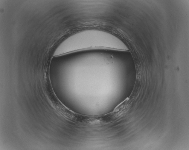 X0000070230456200605261106