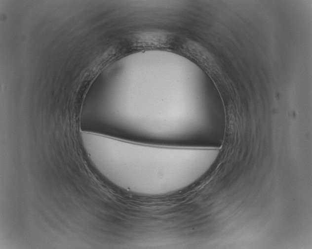 X0000070230457200605261106
