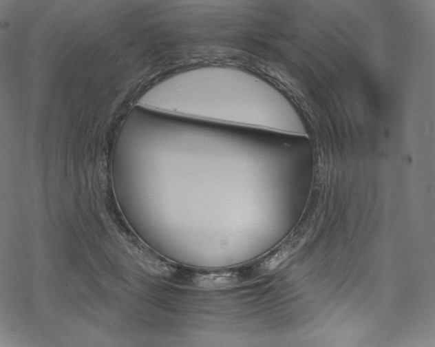 X0000070230461200605261106