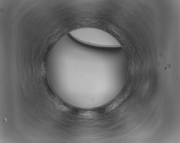 X0000070230467200605261106