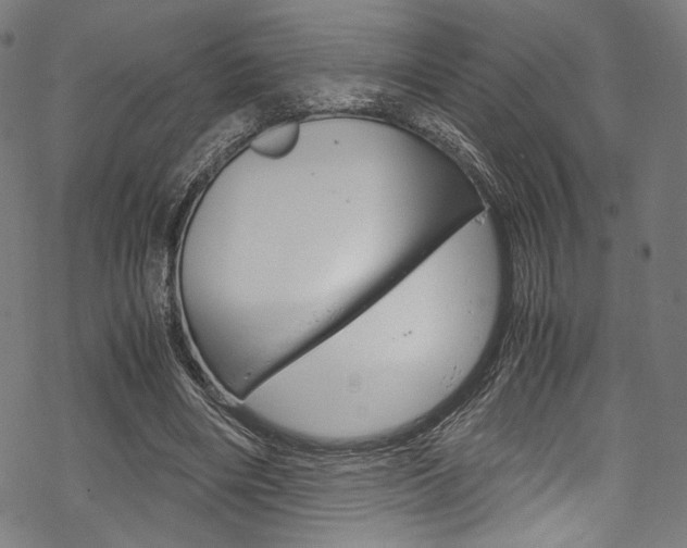 X0000070230490200605261105