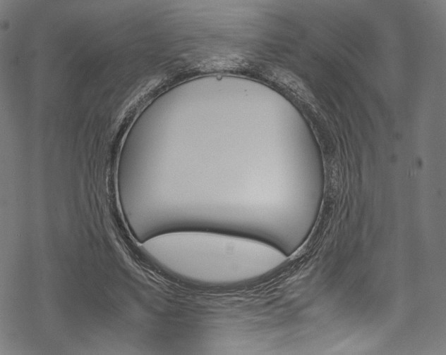 X0000070230491200605261105