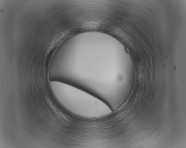 X0000070230494200605261105