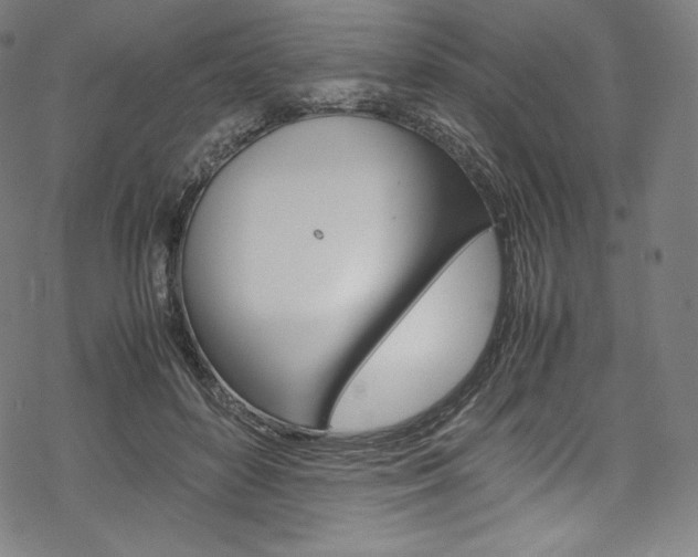 X0000070230504200605261105