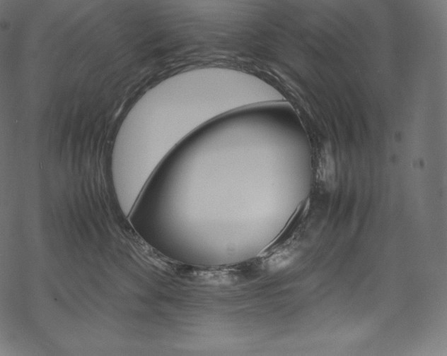 X0000070230524200605261105