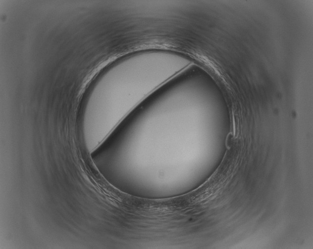 X0000070230531200605261104