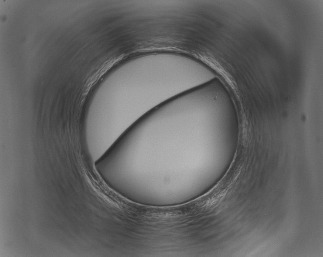 X0000070230533200605261104