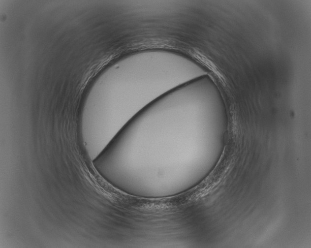 X0000070230537200605261104