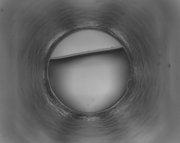 X0000070230539200605261104