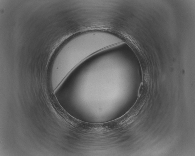 X0000070230540200605261104