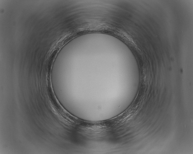 X0000070230542200605261104