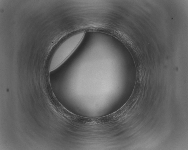 X0000070230544200605261104