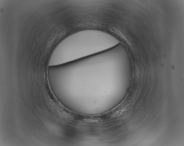 X0000070230545200605261104
