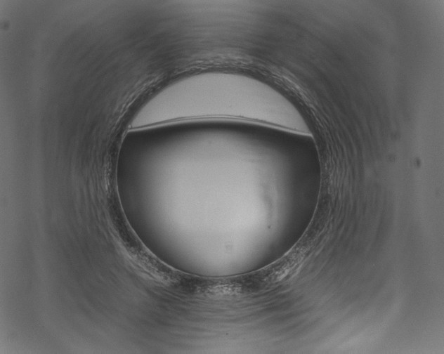 X0000070230546200605261104