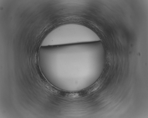 X0000070230554200605261104