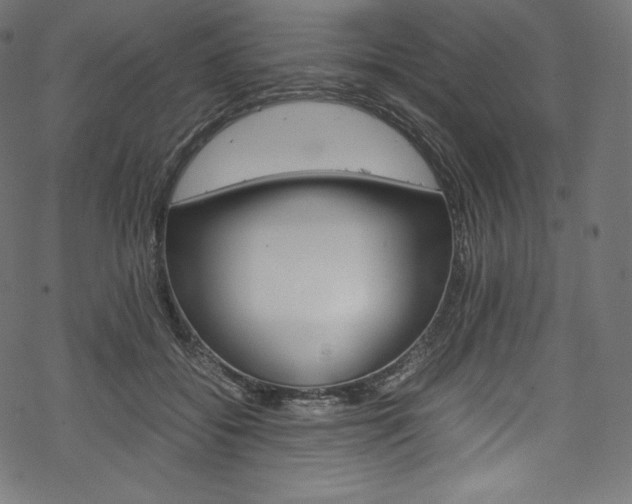 X0000070230556200605261104