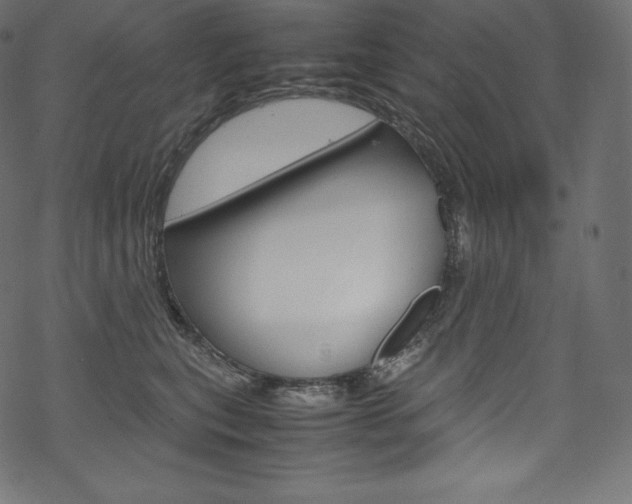 X0000070230567200605261104
