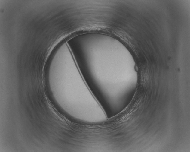 X0000070230584200605261104