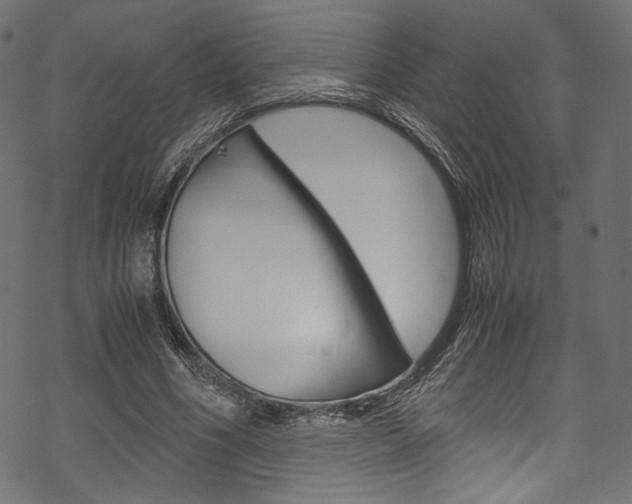 X0000070230586200605261104