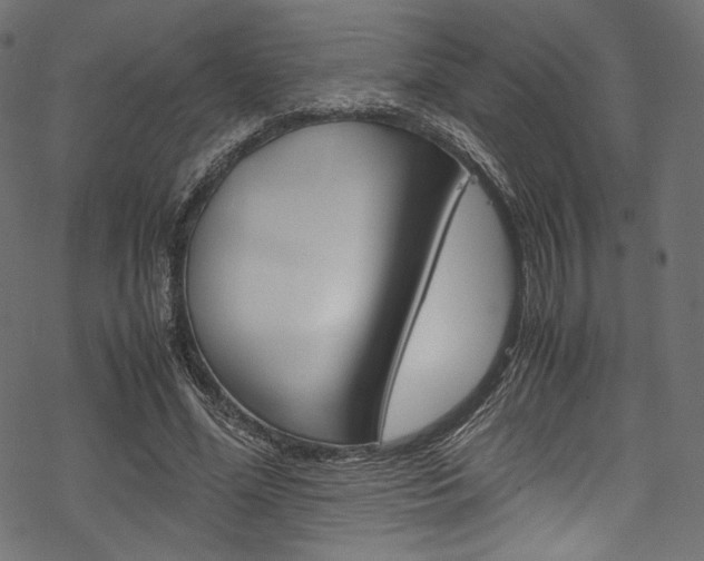 X0000070230588200605261104