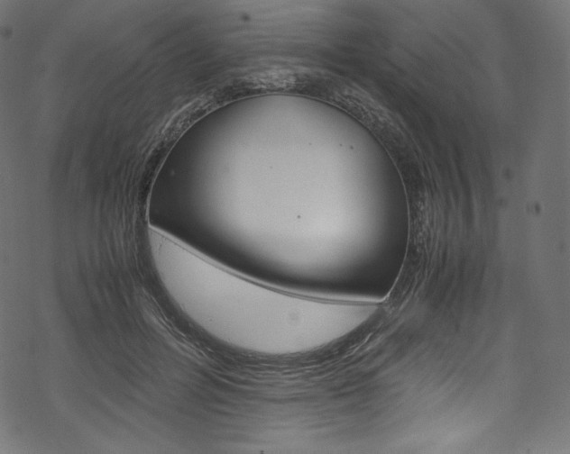 X0000070230600200605261103