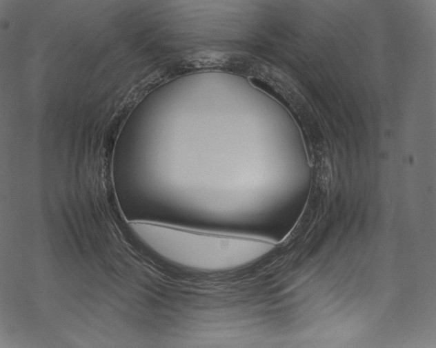 X0000070230604200605261103