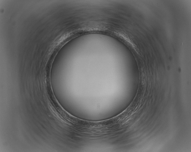 X0000070230631200605261102