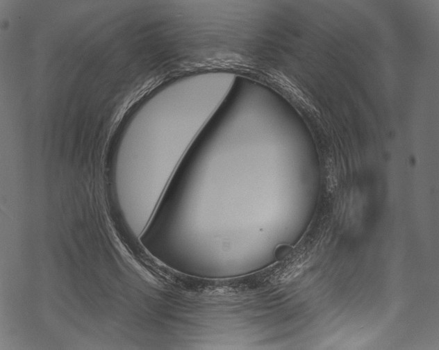 X0000070230634200605261102