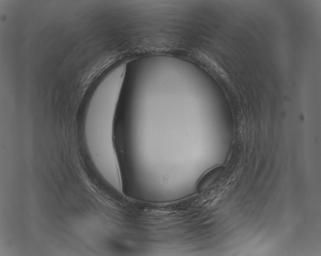 X0000070230635200605261102