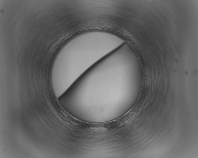 X0000070230644200605261103