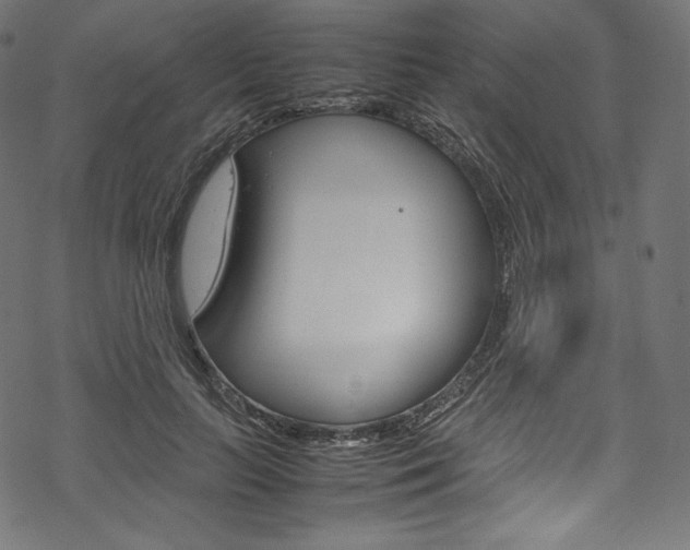 X0000070230647200605261103