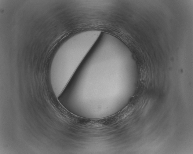 X0000070230648200605261103