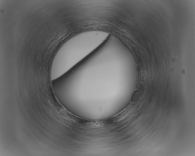 X0000070230652200605261103