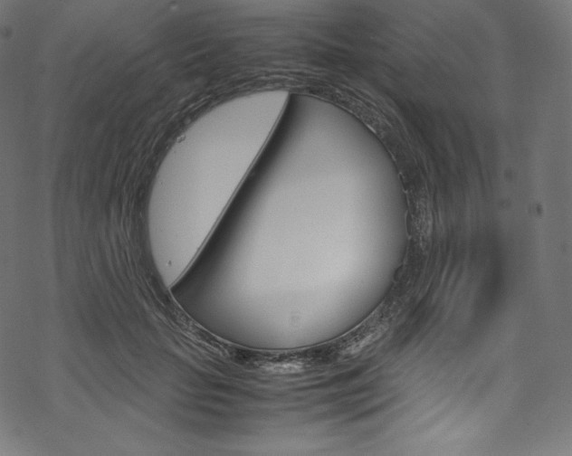 X0000070230653200605261103