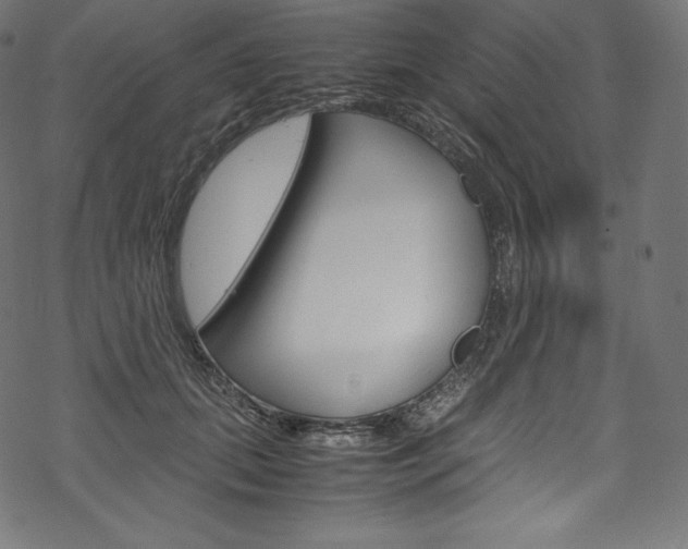 X0000070230655200605261103