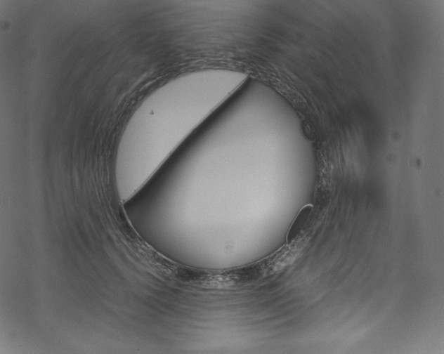 X0000070230656200605261103
