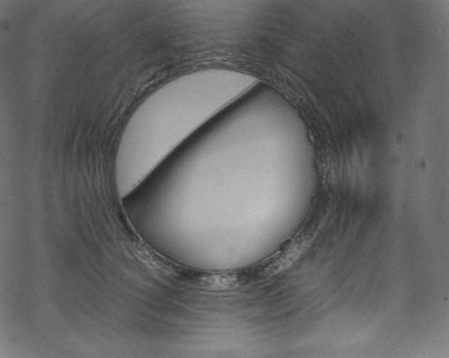 X0000070230660200605261103