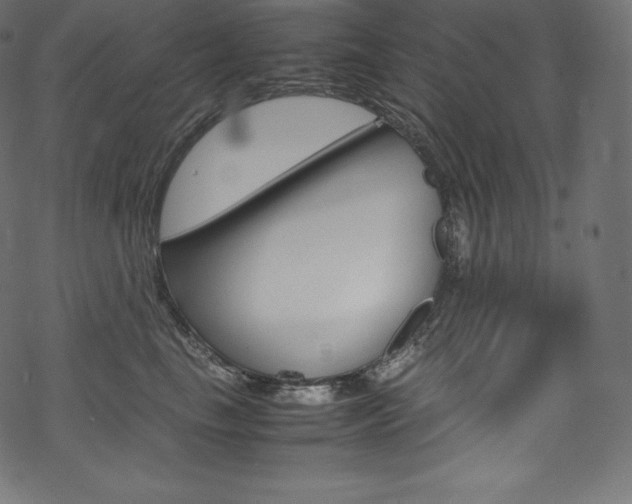 X0000070230665200605261103