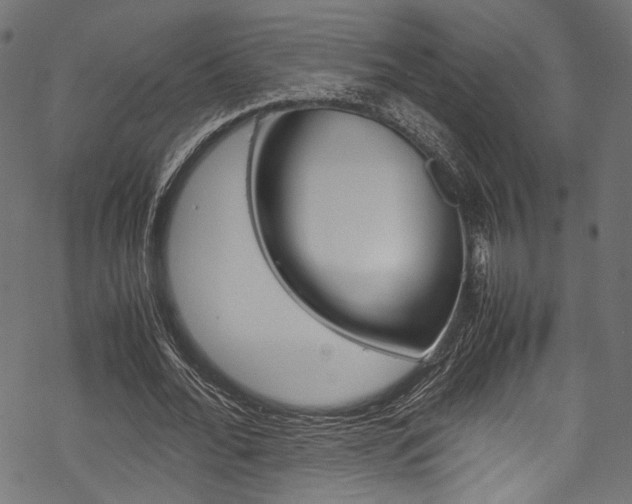X0000070230676200605261102