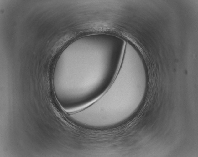 X0000070230677200605261102