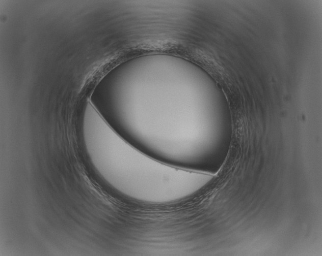 X0000070230688200605261102