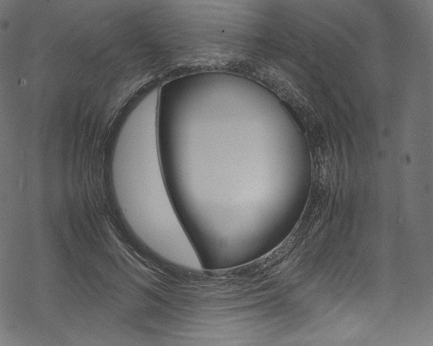 X0000070230692200605261102
