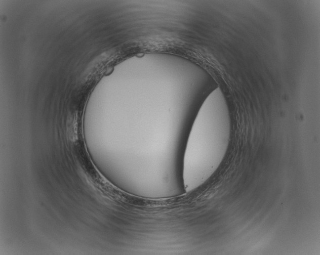 X0000070230694200605261102