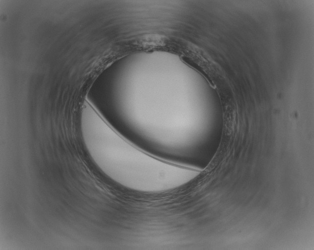 X0000070230704200605261102